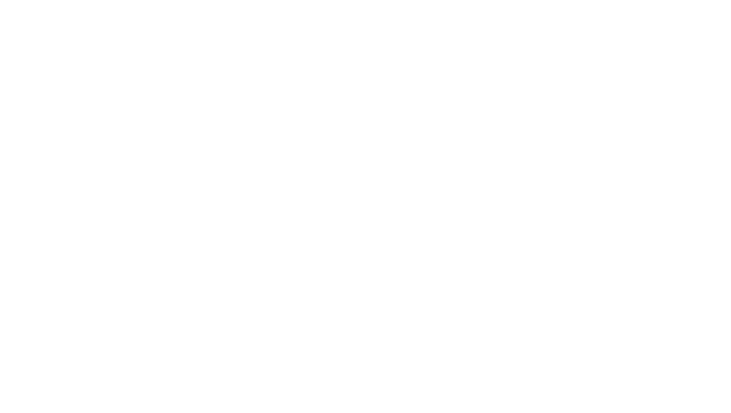 News_12_logo_2019 (3)